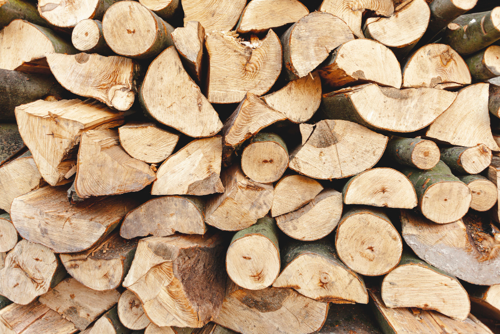 Holzkessel mit Scheitholz